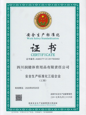 安全生產標準化3級企業